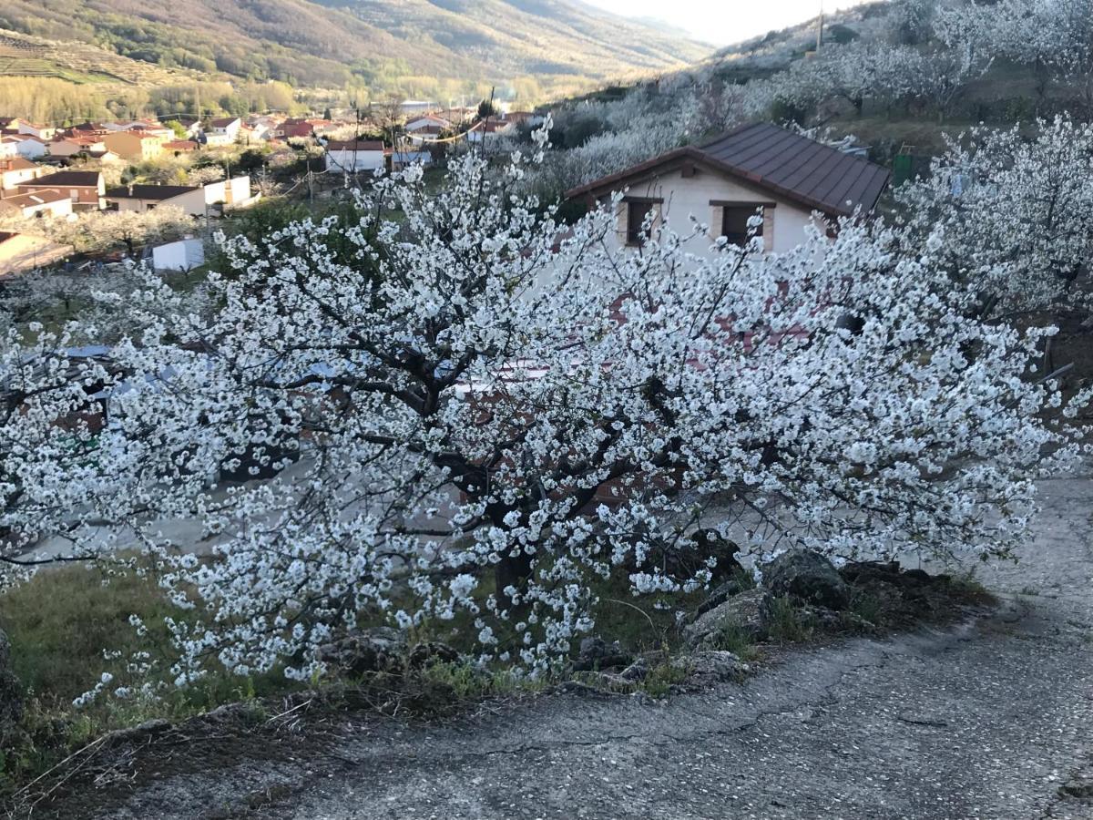 La Gargantilla Jerte Exteriör bild