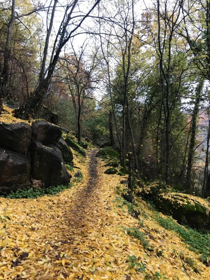 La Gargantilla Jerte Exteriör bild